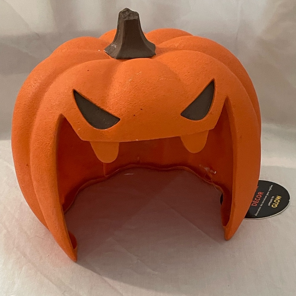 Pumpkin Decor for pet enclosure